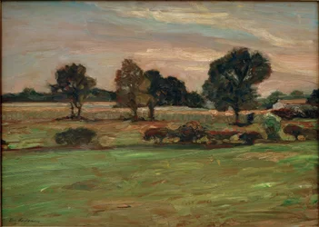 paesaggio palustre