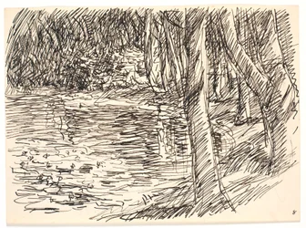 Un lago nella foresta