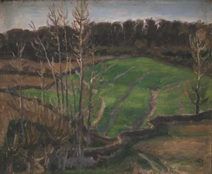 Paesaggio vicino a Svanninge con grano invernale verde