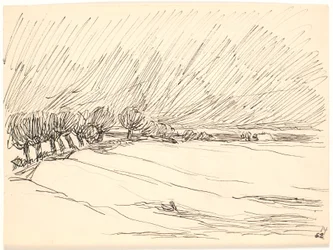 Paesaggio invernale con pioppi