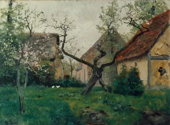 Melo in fiore