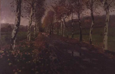 Il viale delle betulle argentate