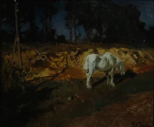 Il cavallo del dottore