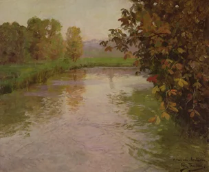 Immagine sconosciuta