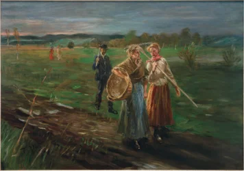 Durante la fienagione