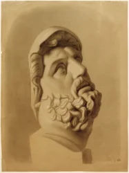 Dettaglio della testa del Laocoonte