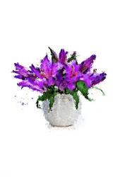 Bouquet viola vivace