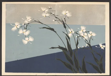 Shasei sôka môyô, Modelli di piante e fiori dal vivo