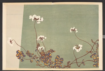 Shasei sôka môyô, Modelli di piante e fiori dal vivo