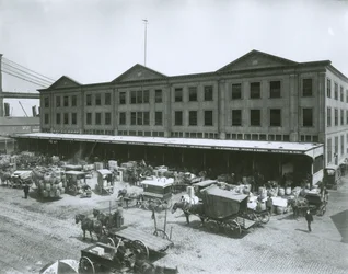 Mercato del pesce di Fulton, New York City