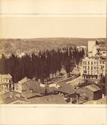 [Plate 13]