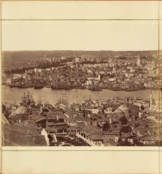 [Plate 3]