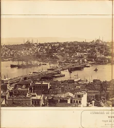 [Plate 7]