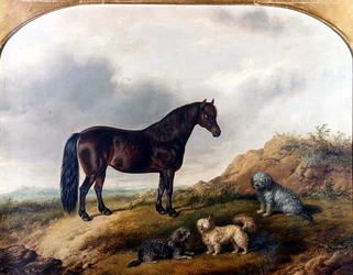 Un pony e tre terrier in un paesaggio