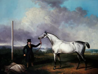 Gentiluomo che tiene un cavallo da corsa grigio su un percorso