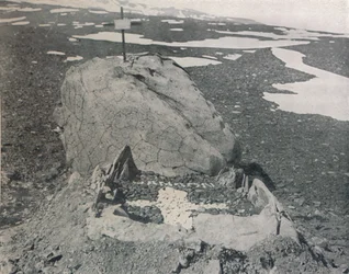 Tomba di Hansen a Capo Adare, 1911, 1913