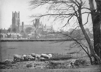 Cattedrale di Ely, c1896