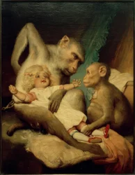 Lezione di antropologia
