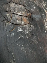 Struttura scura e screpolata