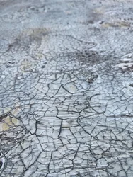 Motivo "Terra crepata"