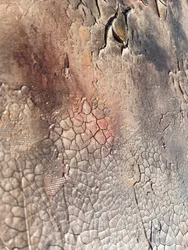 Texture "Terra screpolata"