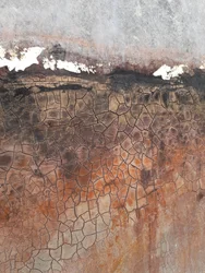 Texture "Terra screpolata"