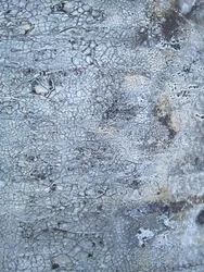 Struttura grigia screpolata