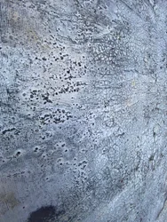 Texture metallica screpolata