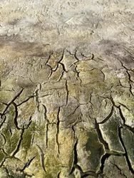 Motivo "corteccia invecchiata"