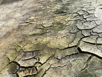 Crepe organiche dovute agli agenti atmosferici