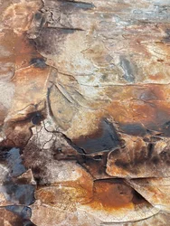 Texture organiche invecchiate