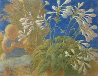 Gigli giapponesi, 1906
