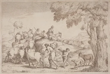 Un pastore anziano visto da dietro