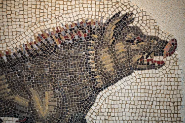 Mosaico romano
