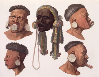 Teste di indiani Botocudos (incisione a colori)