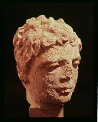 Testa di una divinità
