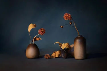 Fiori secchi malinconici