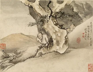 Uomo che cammina accanto a un albero