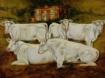 Tori Charolais, Dippenhall, Farnham