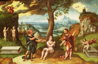 Immagine sconosciuta