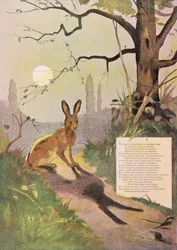 Le orecchie della lepre, dalle Favole di Jean de La Fontaine