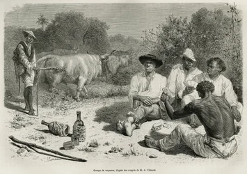 Un gruppo di vaqueros che giocano a carte e bevono alcolici, vicino alle loro mandrie di buoi, incisione dal disegno di G. Vuillier, per illustrare il racconto De Cayenne aux Andes, di Jules Crevaux, medico della marina francese, nel 1878-1879, pubblicato 