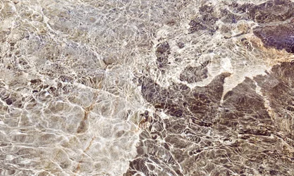 Motivi acquatici dorati