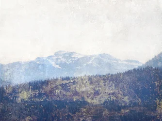 La foresta di Misty Mountain
