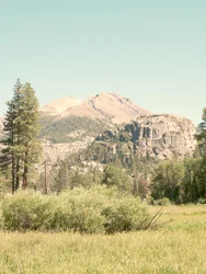 La serenità dei prati di montagna