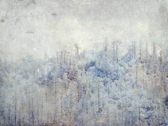 Alberi innevati e sereni