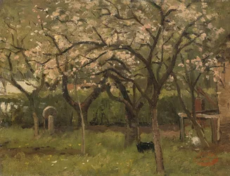 Albero in fiore in un frutteto
