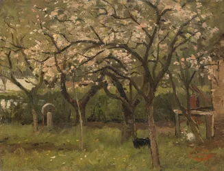 Albero in fiore in un frutteto