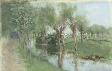 Salici piangenti lungo un canale