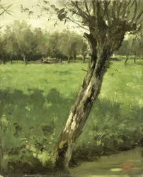 Il Salice